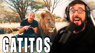 Creo Que Tiene Unos Pequeños Gaos - Reaccionando A Dean Schneider