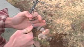 Gopher Traps - How to Set a Gopher Trap