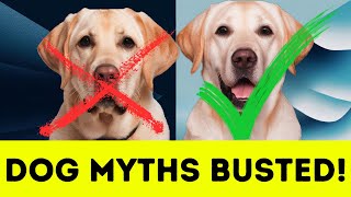 15 Common Dog Myths Busted (Are You Being Fooled?)