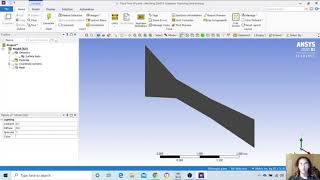 Fluent Assignment 3: Wind Tunnel Simulation