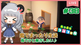 #37のんびり島くらしをするのだ【＃あつまれどうぶつの森】