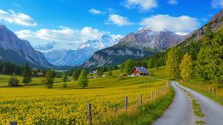 Top 1 Classical Music For The Elderly...Restores The Nervous System, Sleeps Deeper