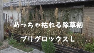 【除草剤】プリグロックスＬ「空き家の雑草処理」即効性抜群！