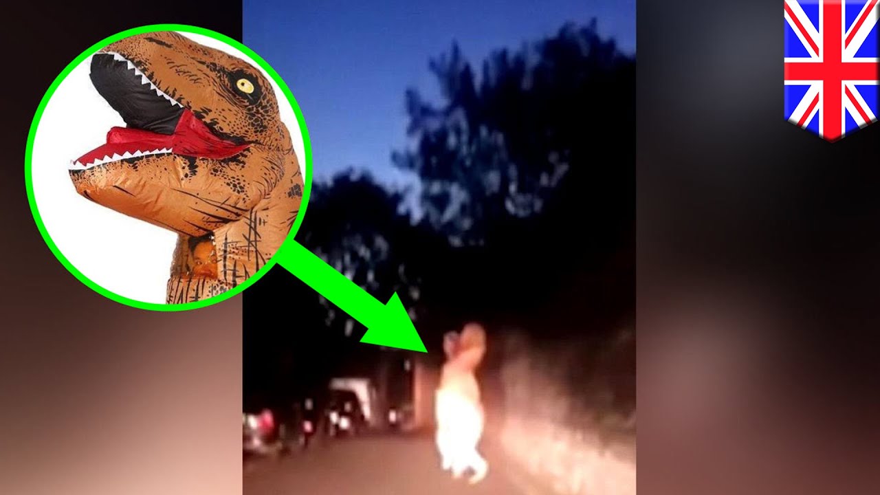 Watch the dino-mite video of a T-Rex on the run through Plymouth
