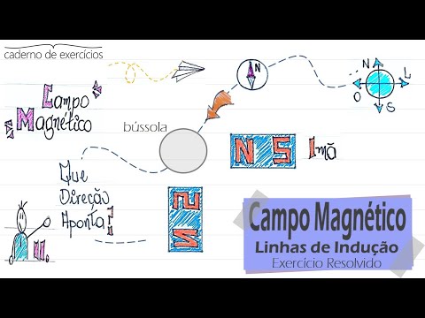 Linhas de Indução do Campo Magnético: Propriedades  [Cad. 21: Eletromagnetismo, Exercício nº 02]