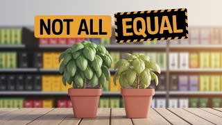 Smart Plant Start Shopping: How to Choose, Save & Avoid Mistakes
