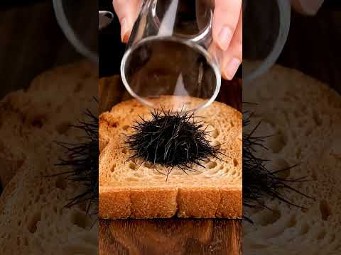 Have You Ever Spread Hair On Bread Satisfying ASMR #satisfying #shorts   #asmrtriggers #relax
