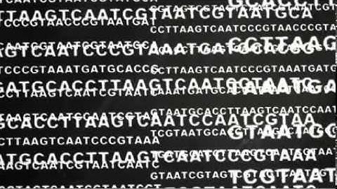 SYNBIOSAFE: A documentary film about synthetic biology and its safety and ethical aspects