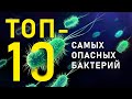 ТОП-10 самых опасных бактерий для человека. Список ВОЗ. |2021|Да Но