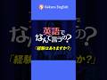 英語でなんて言うの?「経験はありますか？」#033 #英会話 #英語 #英語学習