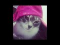 (free) che rest in bass + bleeod type beat "oddball"