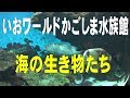 いおワールドかごしま水族館～海の生き物たち～ の動画、YouTube動画。