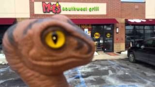 Bob the Raptor - Review - Moe's Southwest Grill
