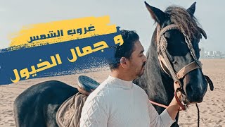 سحر الغروب🌄 وجمال الخيل🐴 والنهاية عشاء زوين من القلب ❤