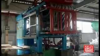 EPS automatic icf block machine