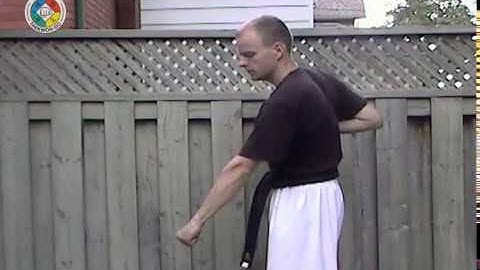 Taekwondo: Hapkido: Foundations: low block, side view