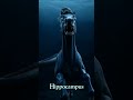 The ancient Hippocampus