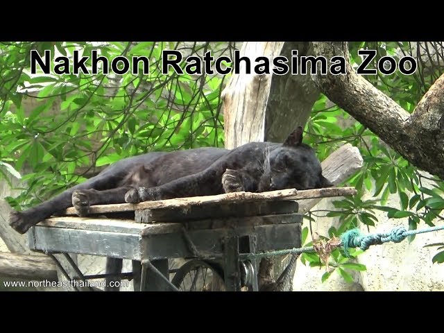 Nakhon Ratchasima Zoo Nakhon Ratchasima Destimap Destinations On Map