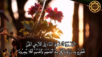 "أولم يروا أنّا نسوق الماء إلى الأرض الجرز فنخرج به زرعا.." - من سورة السجدة بصوت القارئ: اسلام صبحي