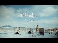 May Forth【春は泡沫】Music Video