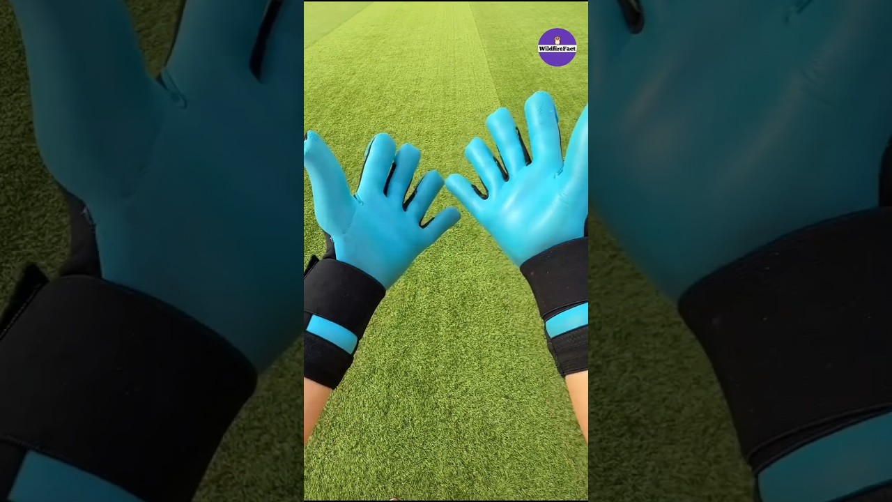 Why Do Sticky Gloves For Goalkeepers #shorts #ytshorts