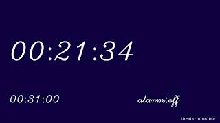 31 Minute Countdown Timer, no alarm
