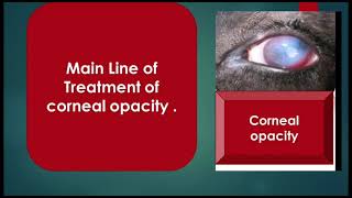 Line of treatment of EYE AFFECTIONS in farm - (حيوانات المزرعة) علاج امراض العيون