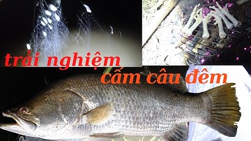 trải nghiệm cắm câu đêm dính cá lăng vàng, tại con suối hoang vắng.