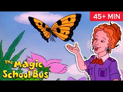 Butterfly & the Bog Beast | Spins a Web | Full Episodes | The Magic School Bus | Scholastic Classic