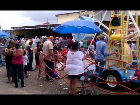 alamo pulga youtube