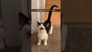lowercase scream