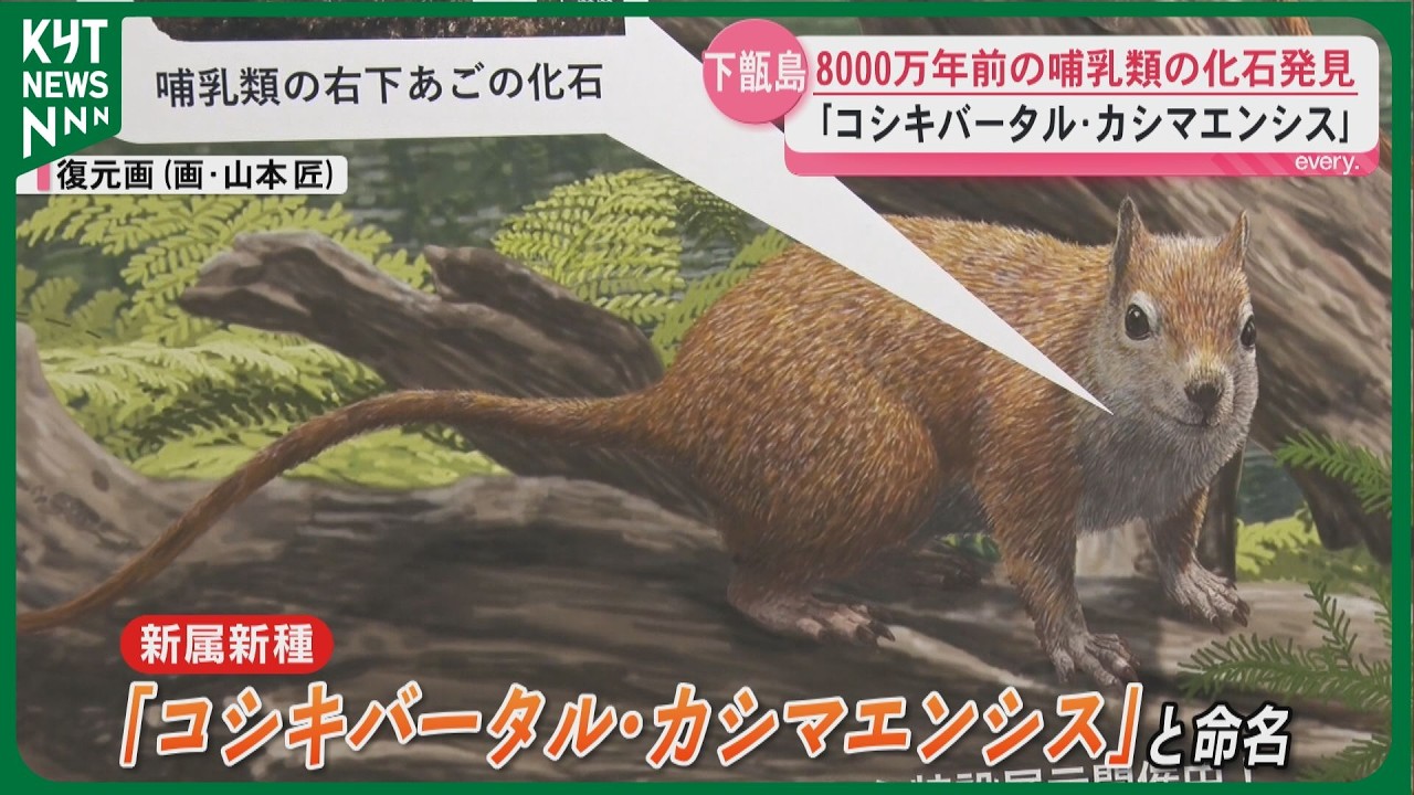 A new genus and species of mammal discovered as a fossil in a