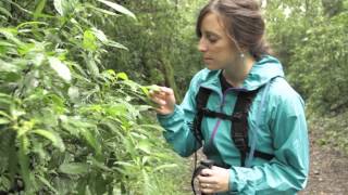 EF Global Intern 2014 - Agustina Hatem