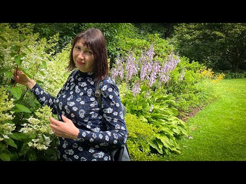 Vlog 148 - Любимый сад в августе и о чём говорят cадовники после работы