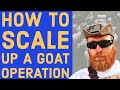 How to Scale Up & Grow a Livestock Operation