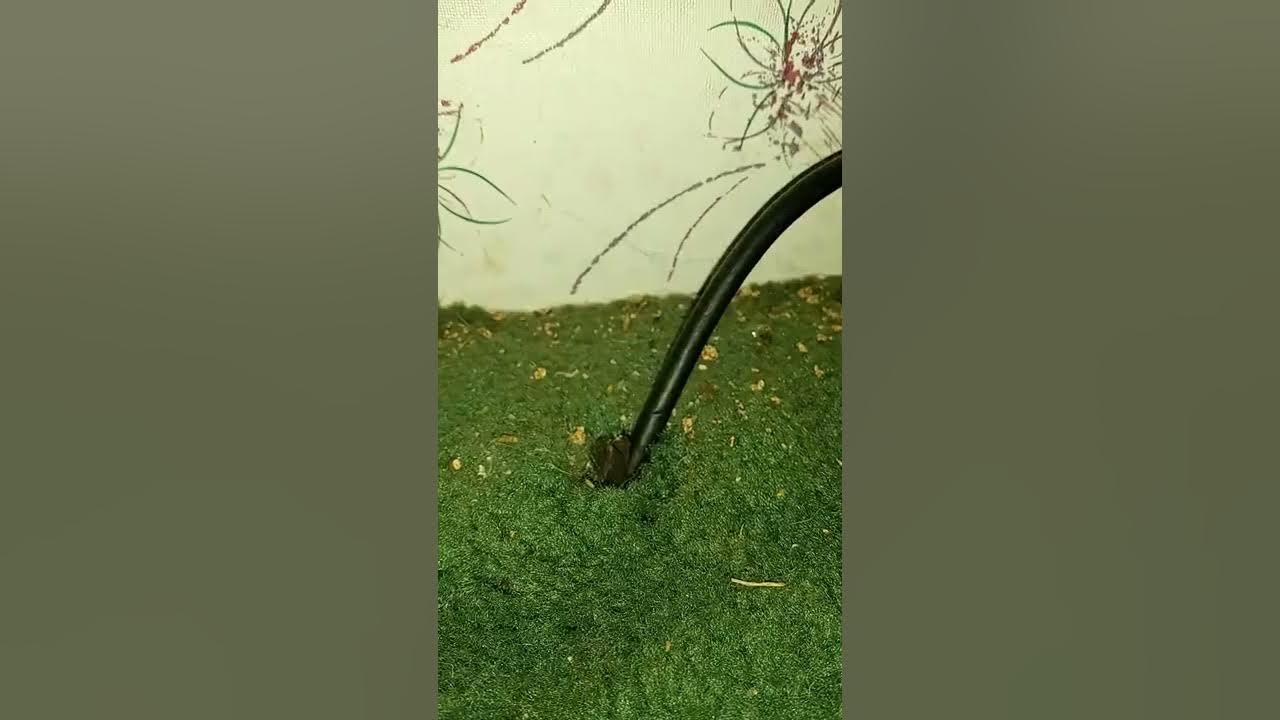 Spectrum box cable box cable box outside Spectrum. YouTube