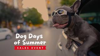 Fetch a Great Deal during the Dog Days of Summer Sales Event!