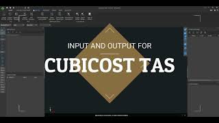 Apa saja Input and Output Cubicost TAS?