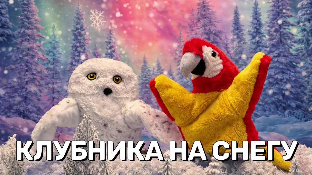 Клубника на снегу 🍓❄️ Как попугай перепутал юг и север!