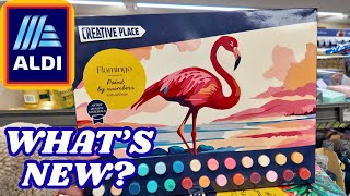 What's New in Middle of ALDI - NEW Arrivals - 25 January 2026