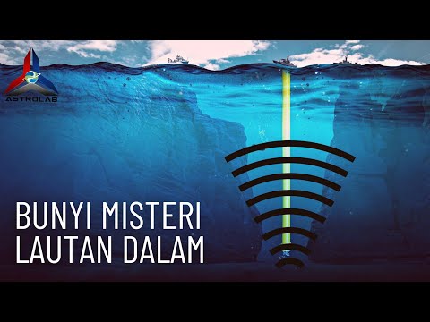 Video: Adakah monyet laut sebenar?