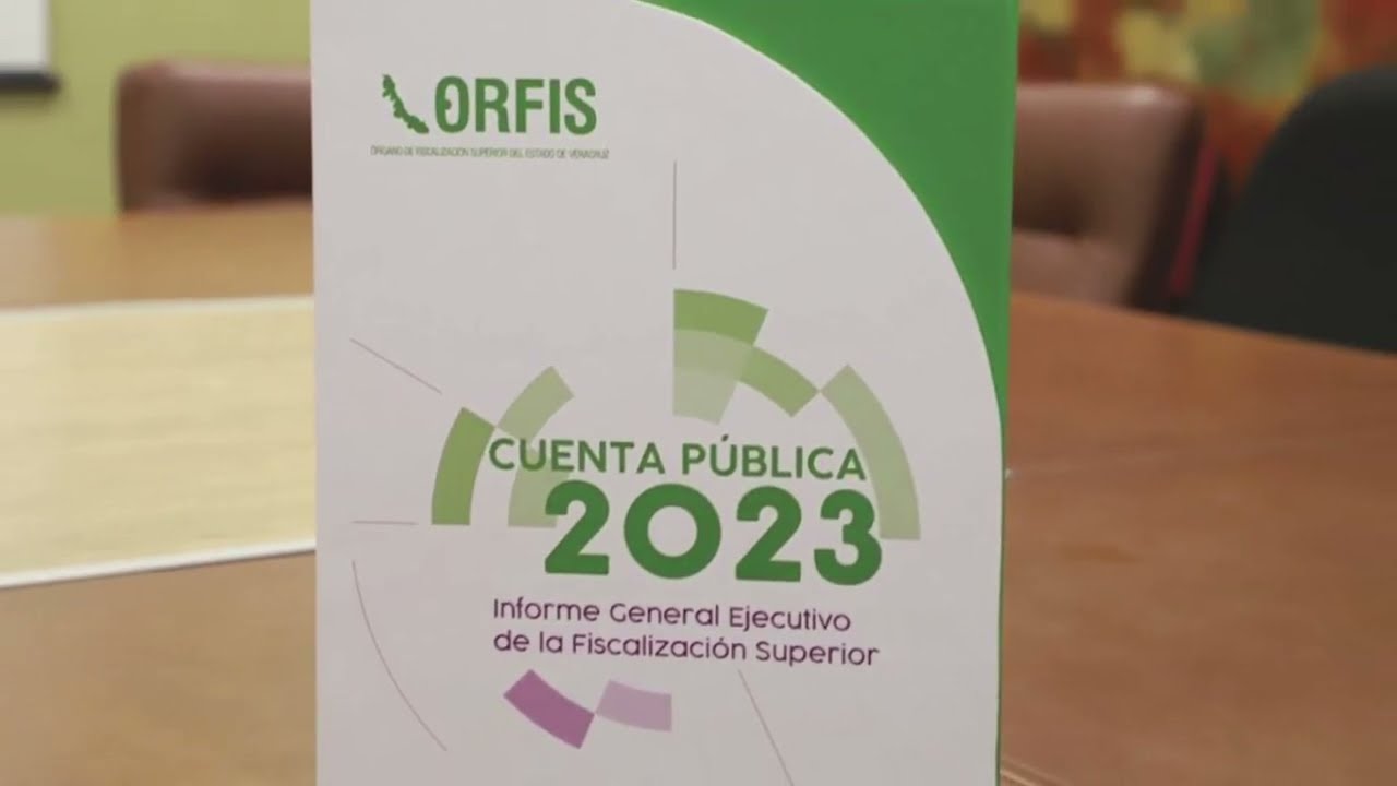 Observaciones de la ASF, Sesver en la lupa