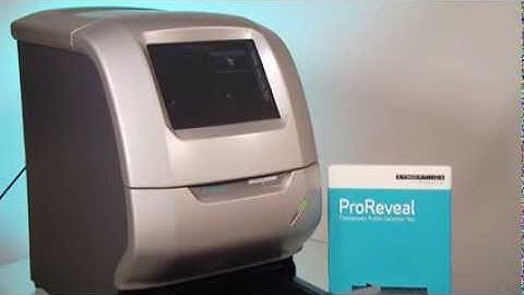 ProReveal Fluorescence Protein Detection Test