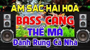 ÂM Sắc Hài Hoà, Nhạc Test Loa CỰC CHUẨN 8D - Nhạc Disco REMIX Bass Căng Thế Mà - Đánh Rung Cả Nhà