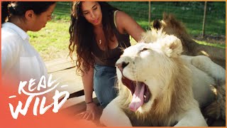 This Woman Leads A Lion Pride | Real Wild