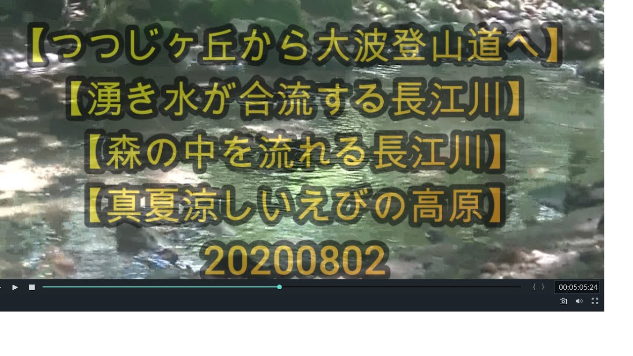 つつじヶ丘から大波登山道へ 湧き水が合流する長江川 森の中を流れる長江川 真夏涼しいえびの高原 0802 Youtube