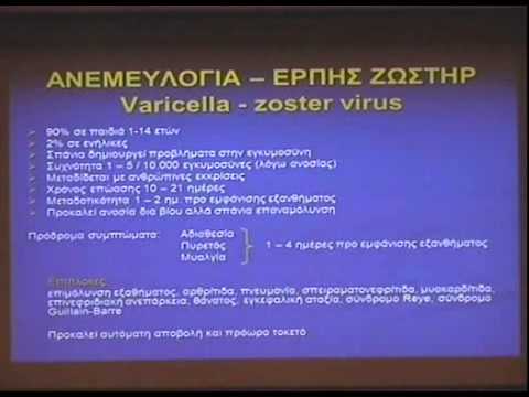 Βίντεο: Τα σκυλιά των χώρων υγειονομικής ταφής λαμβάνουν τη δεύτερη ευκαιρία επειδή η ζωή του σκύλου δεν είναι σκουπίδια