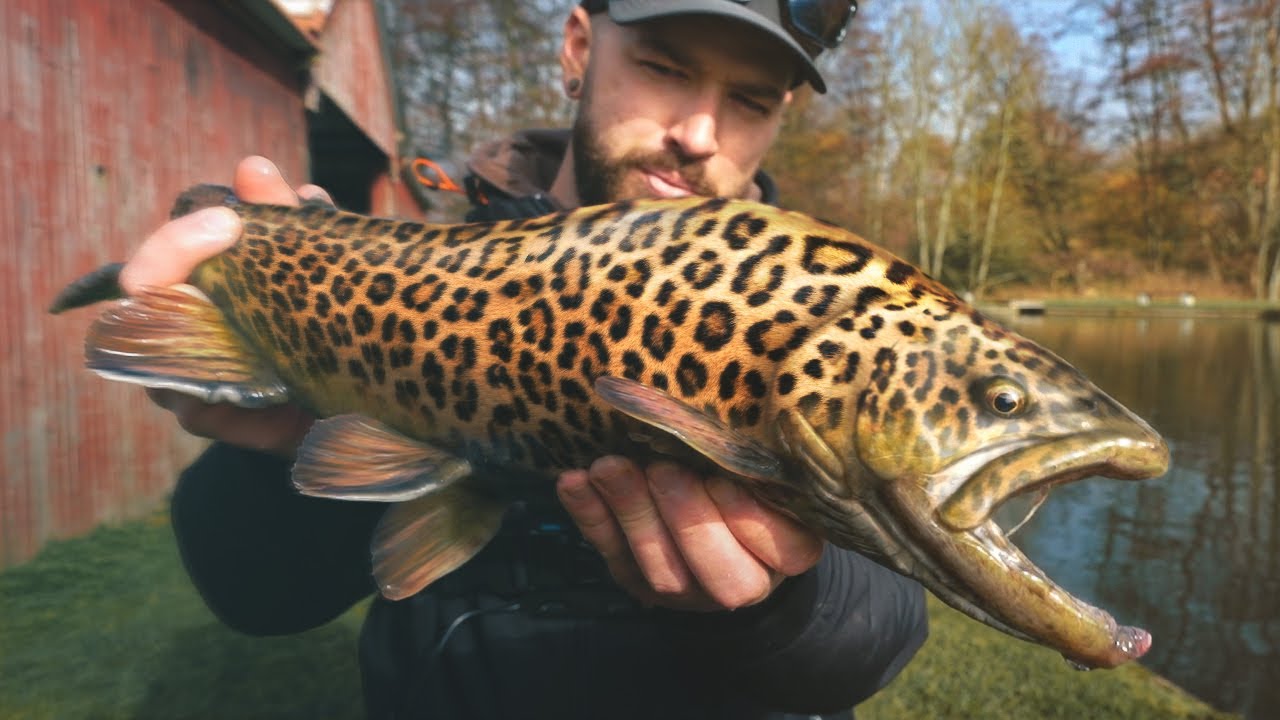 Des poissons UNIQUES se trouvent ici ! Une pêche aux leurres light ...
