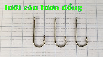BÁN LƯỠI CÂU LƯƠN ĐỒNG, chuyên cắm câu lươn, thả lươn, giao toàn quốc