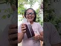 garrafada semente de sucupira com suco de integral #plantas